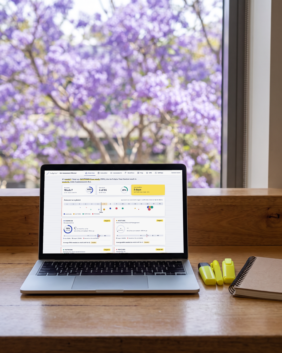 Uni Assessment Planner on a laptop in front of a jacaranda tree